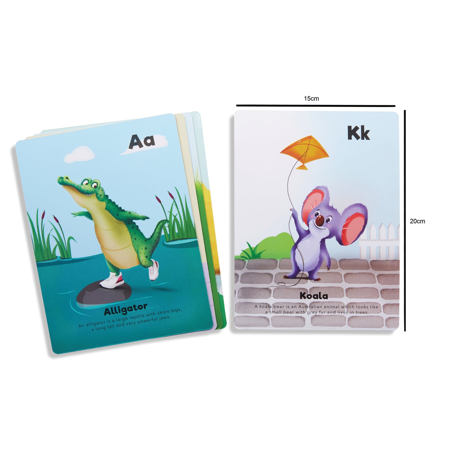 The Animal Kingdom Flash Cards