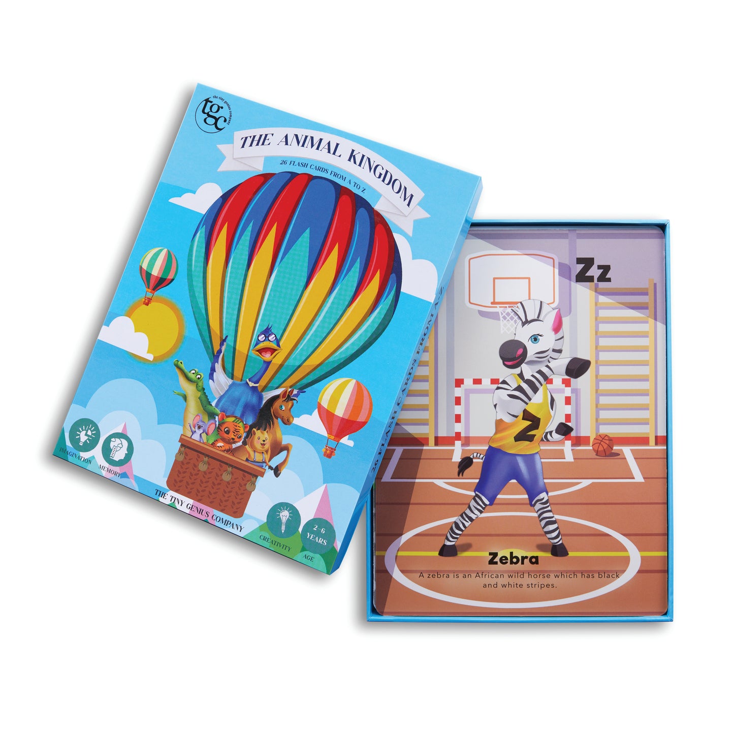 The Animal Kingdom Flash Cards