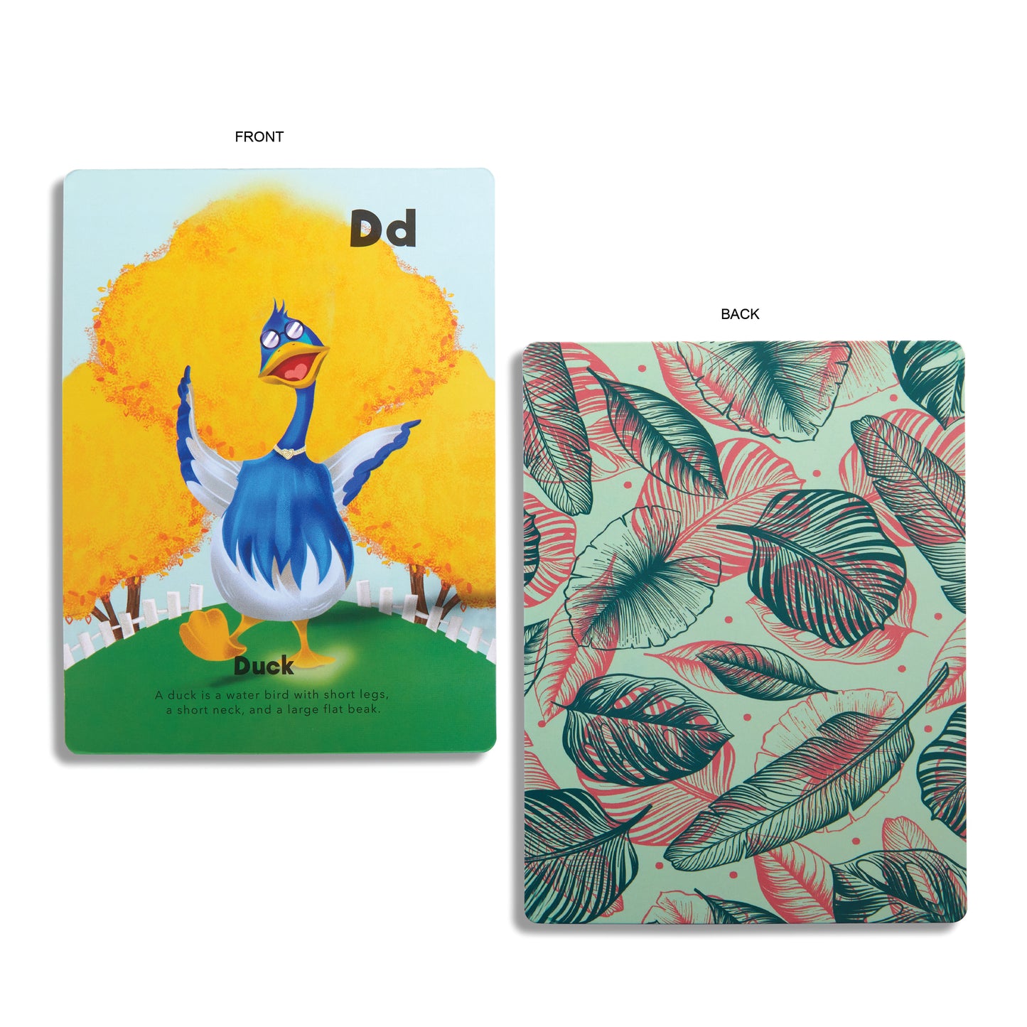 The Animal Kingdom Flash Cards