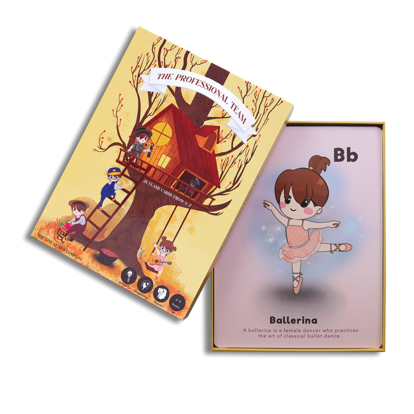 The Professional Team Flash Cards