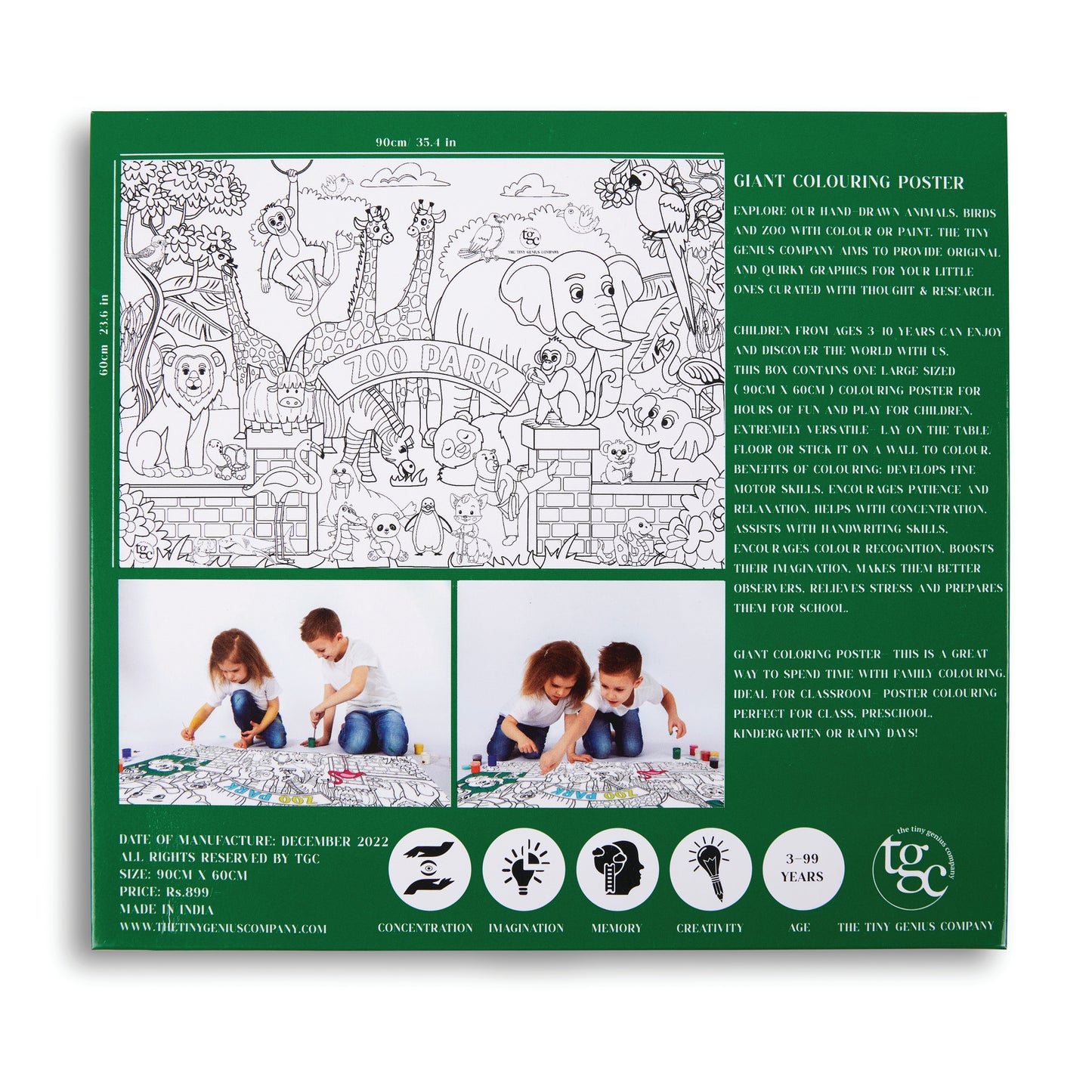 The Animal Kingdom Colouring Poster