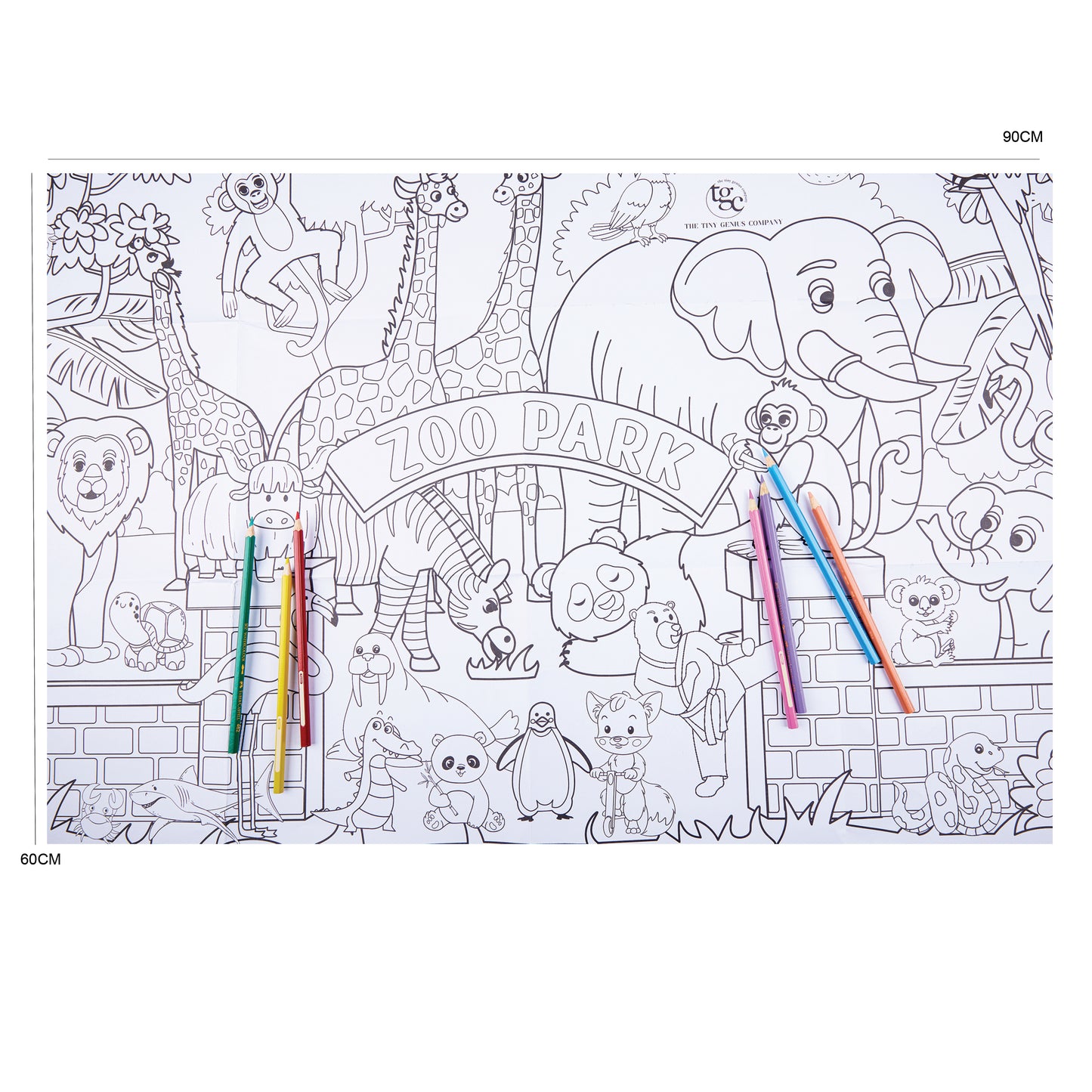 The Animal Kingdom Colouring Poster